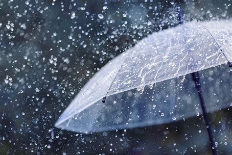 夢落雨|【夢占い】雨の夢の意味35選！濡れる/降る/家の中か。